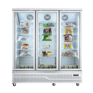Glass Door Freezer (Bottom Mount Compressor)(3 Doors)