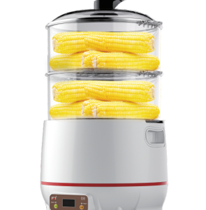 Double Layers Electromagnetic Steam Cooker