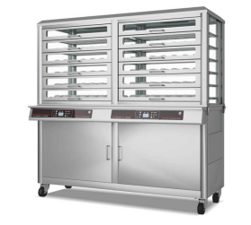 Gas and Electronic Double Row Raw Bun Steamer